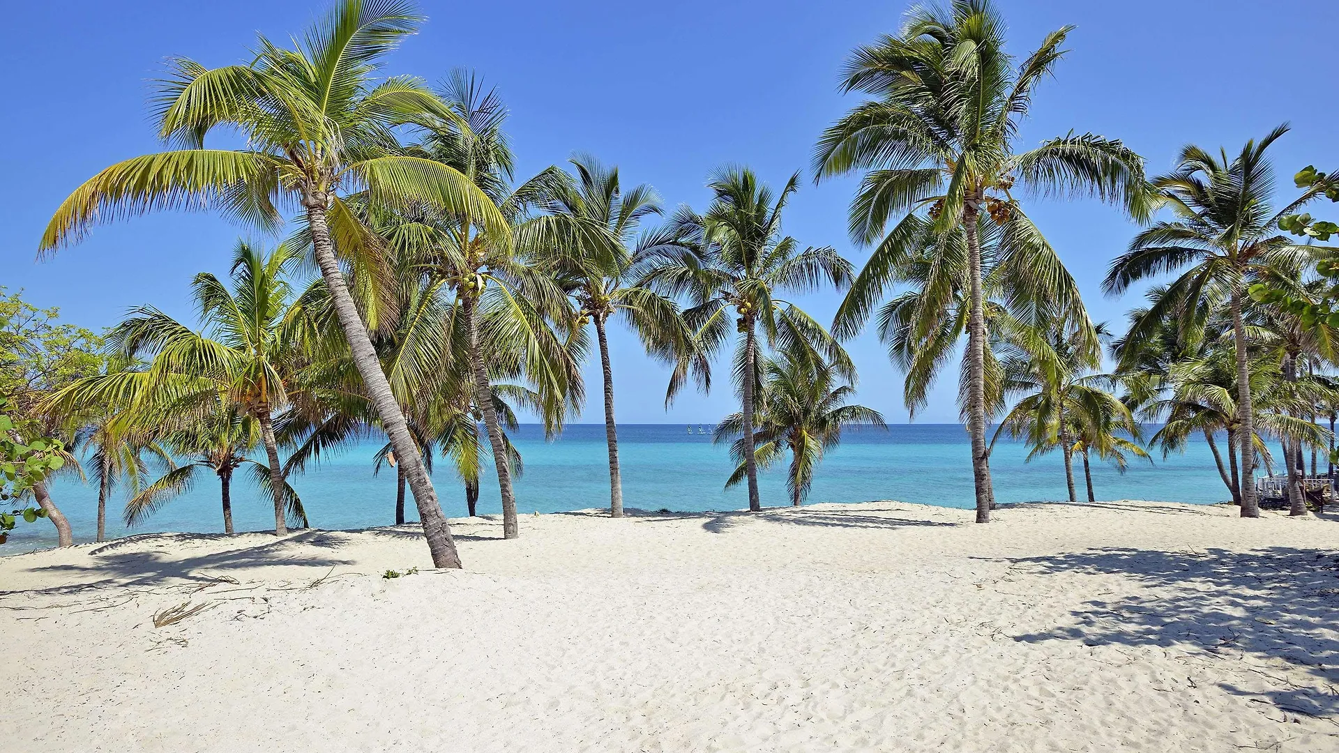 Melia Varadero Hotel