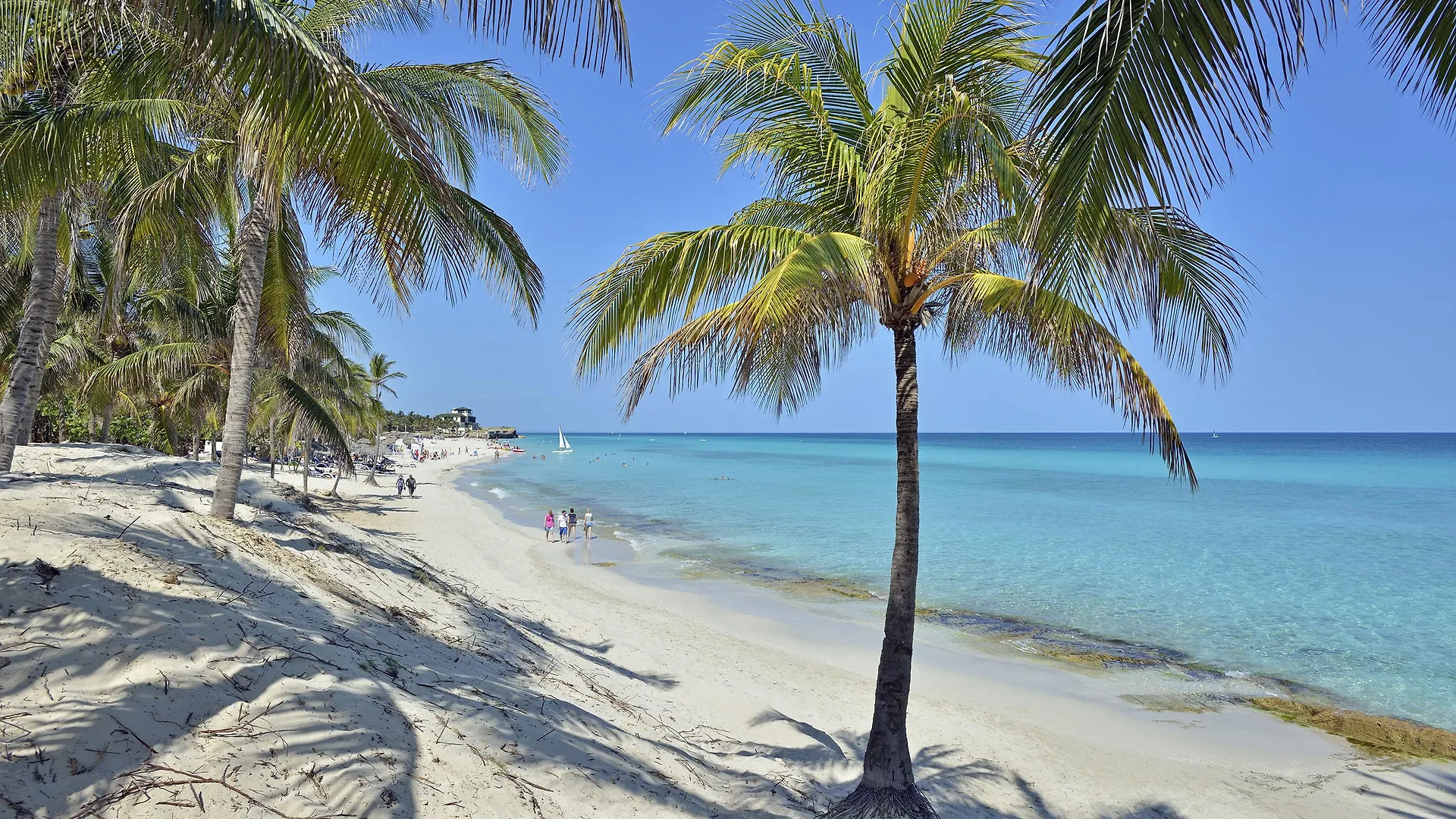 *****  Melia Varadero Hotel Cuba